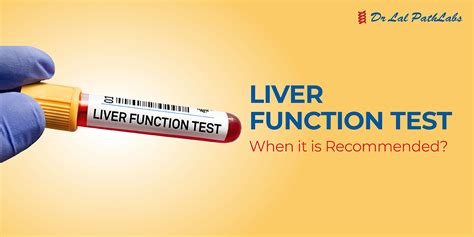 what is a liver soft tissue test|liver function test patient portal.